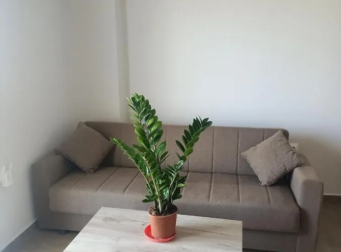 Almiriki & Apartment *